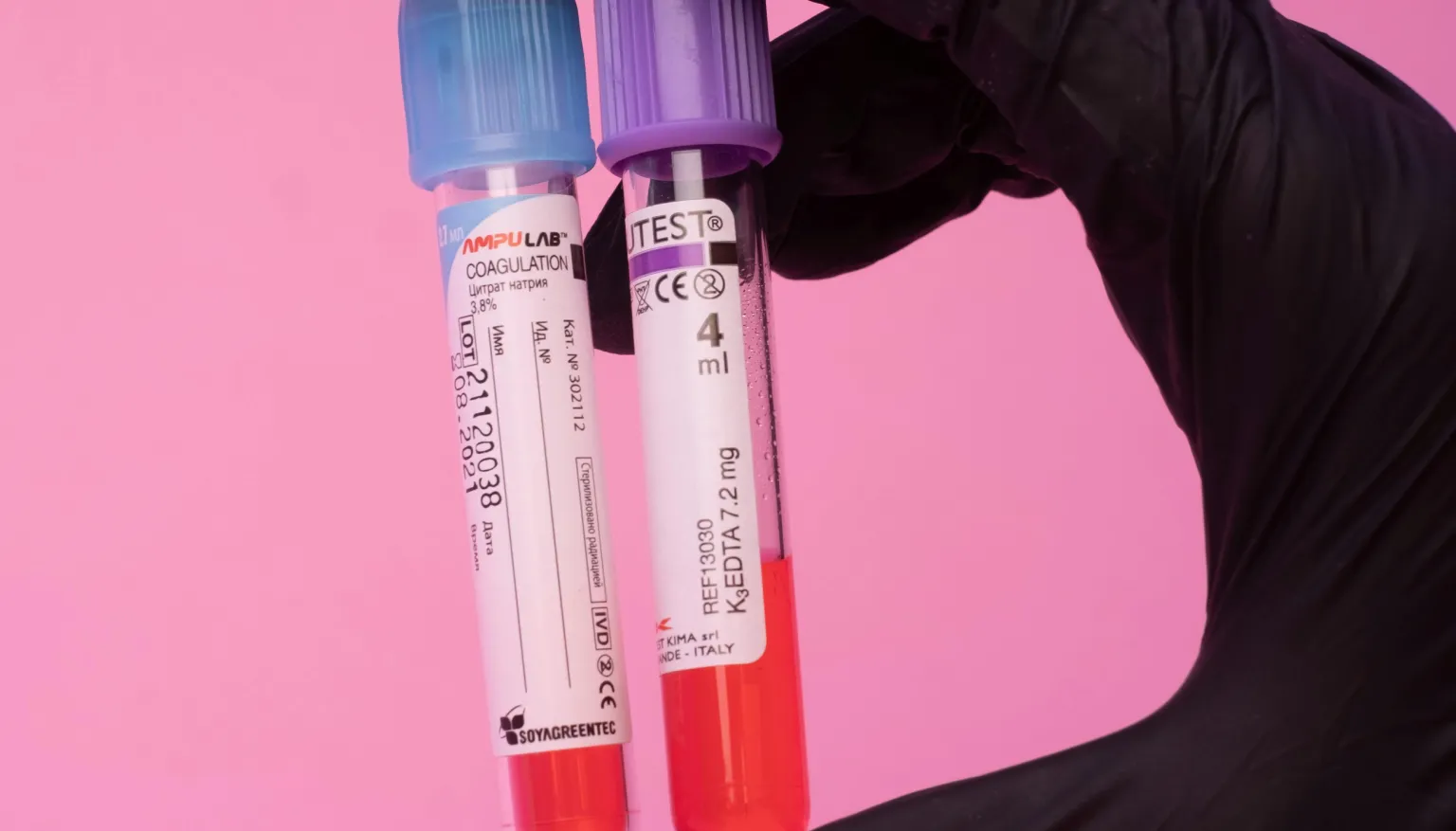 Blood test for pets travelling