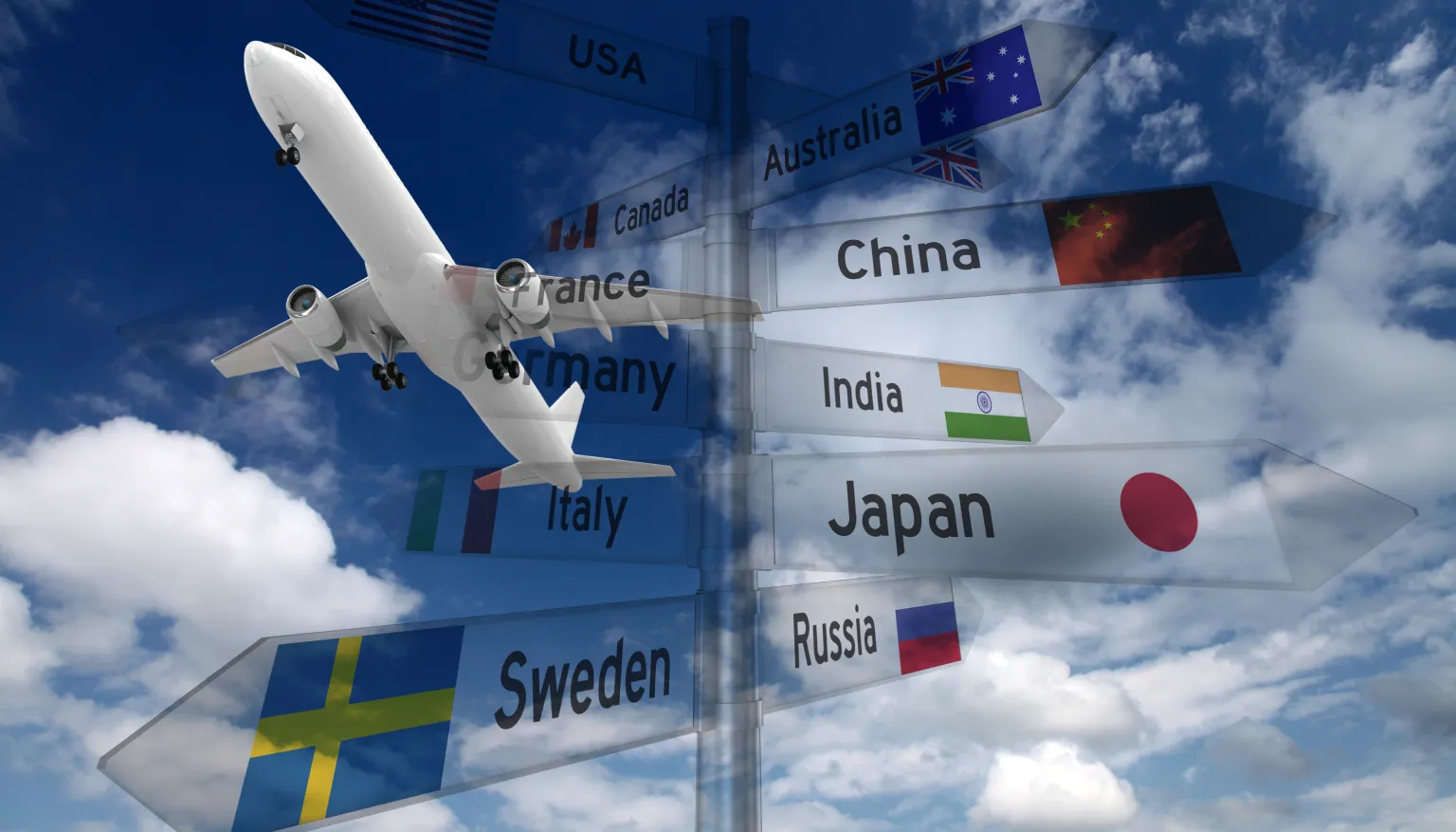 Consultation and guidance for pet relocation