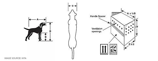 Travel kennel service