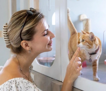 Best pet boarding service