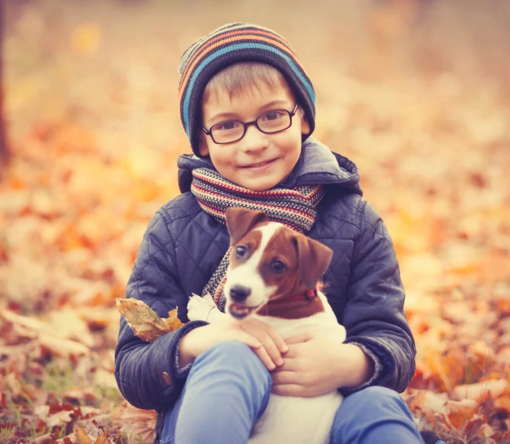 Best pet ground transportation service