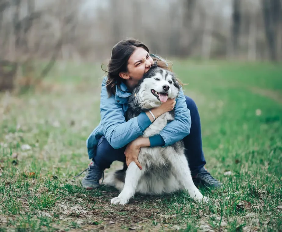 Best pet transport service